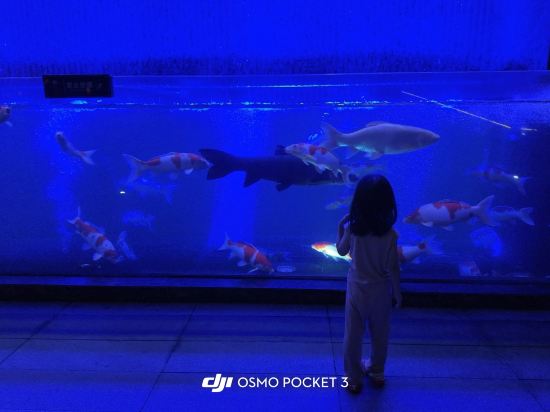 深圳南山希爾頓逸林酒店及公寓優惠