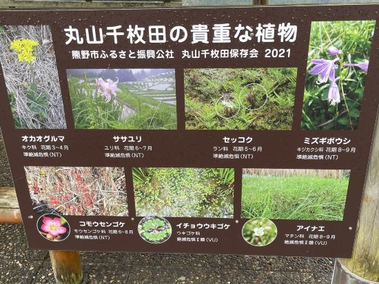 入鹿温泉ホテル瀞流荘 クーポン