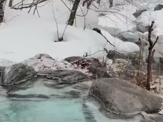 深山荘 クーポン