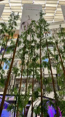 Kim Khoi Hotel Public Areas Photos