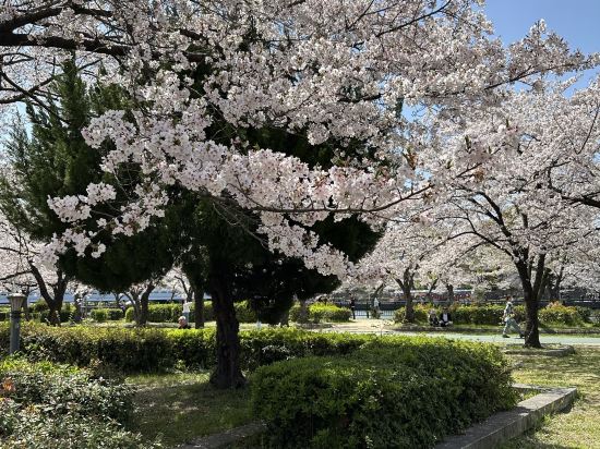 桜ガーデンホテル クーポン