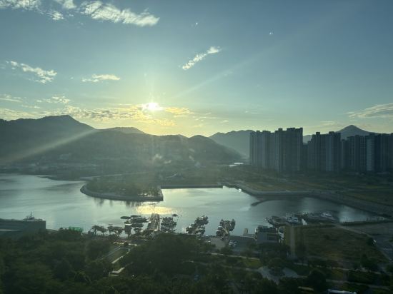 삼성 호텔 거제 쿠폰