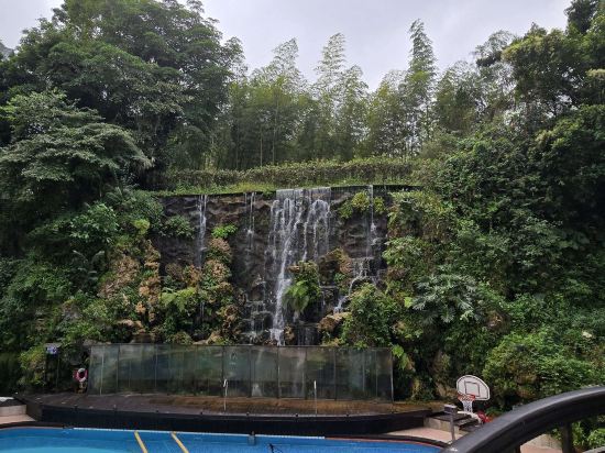 南投溪頭米堤大飯店優惠