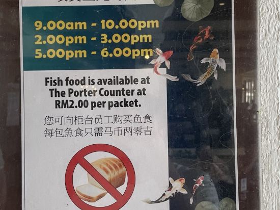 熱浪島Laguna度假村優惠