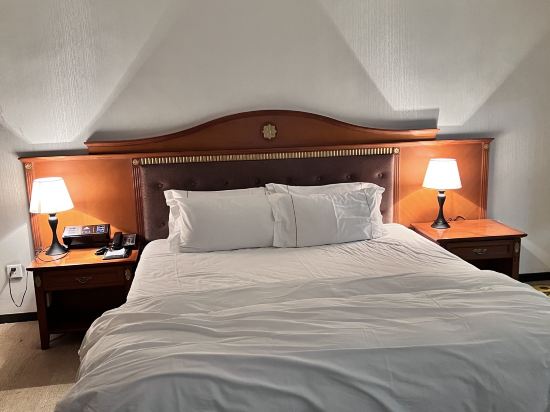 東莞花園酒店優惠