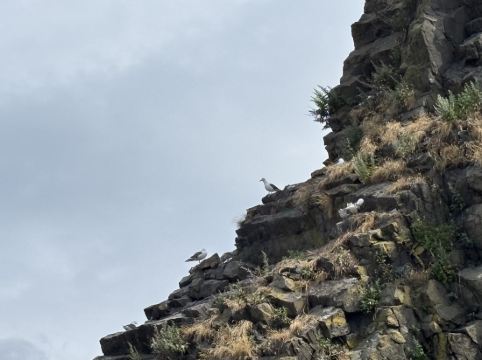 北こぶし 知床 ホテル＆リゾート クーポン