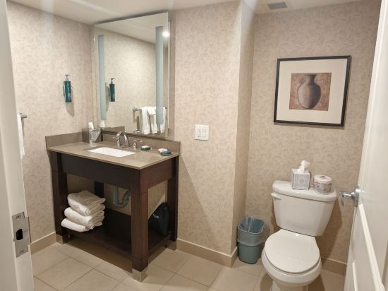 希爾頓尼亞加拉瀑布/瀑布景觀套房酒店優惠