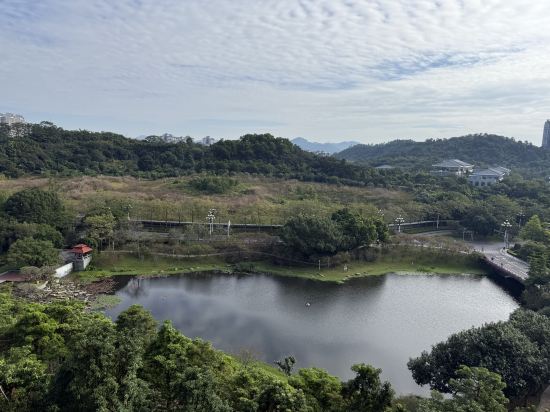 廣州滙華希爾頓逸林酒店優惠