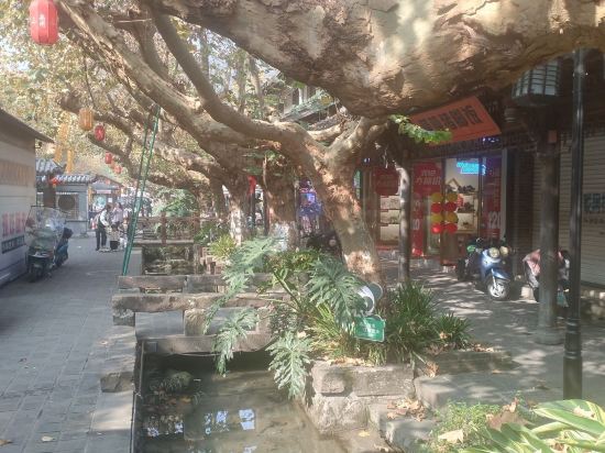 雲孚裏雲宿（都江堰南橋雲居）優惠