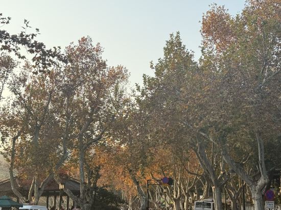 杭州維景國際大酒店優惠