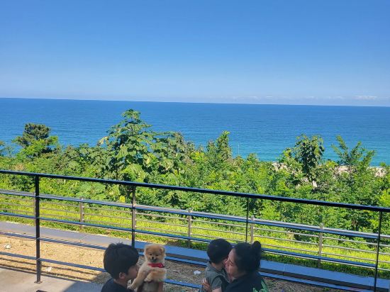 Gangneung Nishi Spa Pension 쿠폰