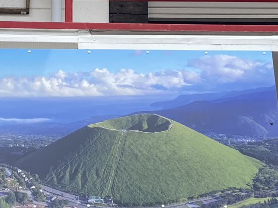 伊豆の家UNO クーポン