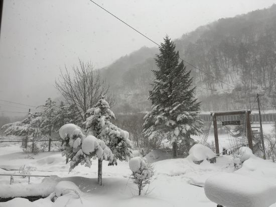 深山荘 クーポン