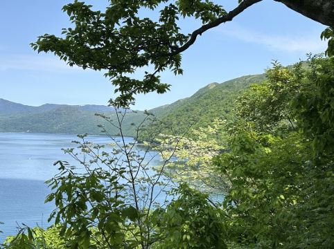 休暇村 支笏湖 クーポン