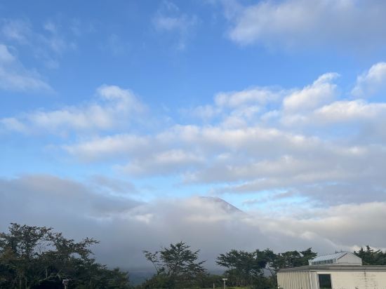 ホテルマウント富士 クーポン