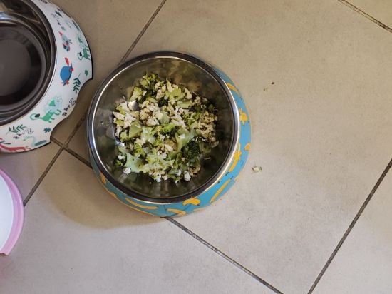 香港文化旅館-翠雅山房優惠