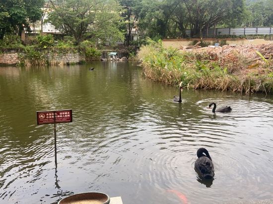 中山溫泉賓館優惠
