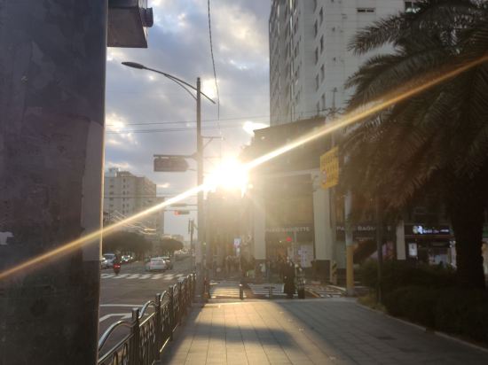 濟州島楓樹酒店優惠