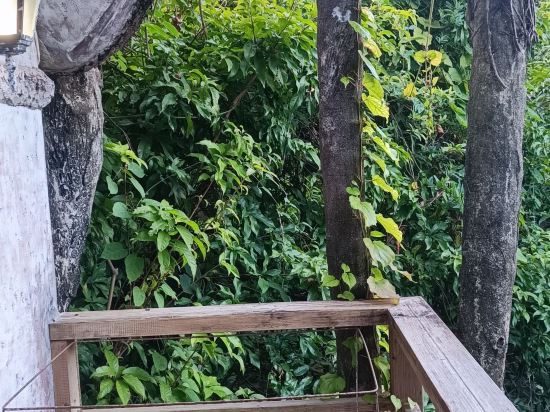 深圳青青世界飯店優惠