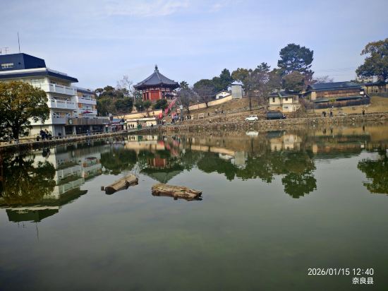 奈良県外国人観光客交流館 (奈良県猿沢イン) クーポン