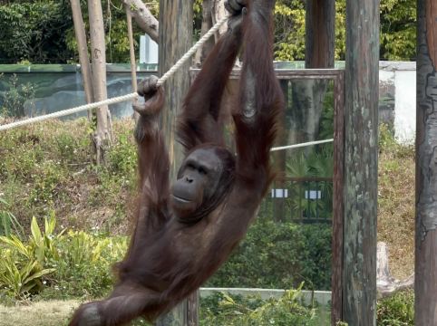 清遠順盈廣百亞朵酒店優惠