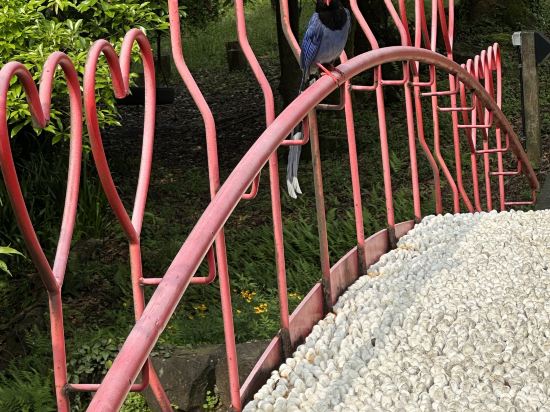 陽明温泉渡假村優惠