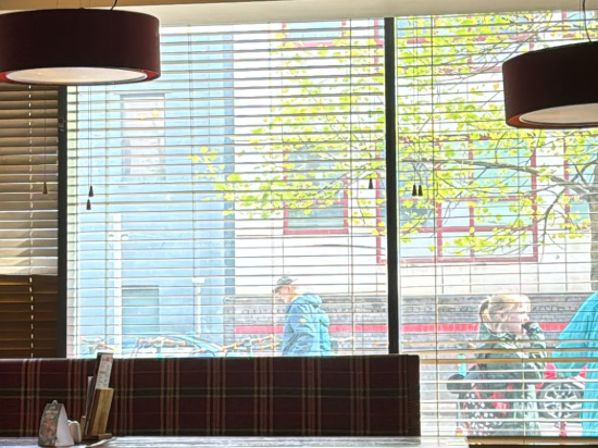 布里斯託城市中心；普瑞米爾酒店優惠