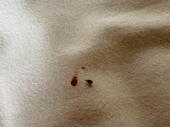 久住高原小屋飯店優惠