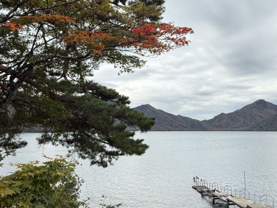 湖上苑飯店優惠