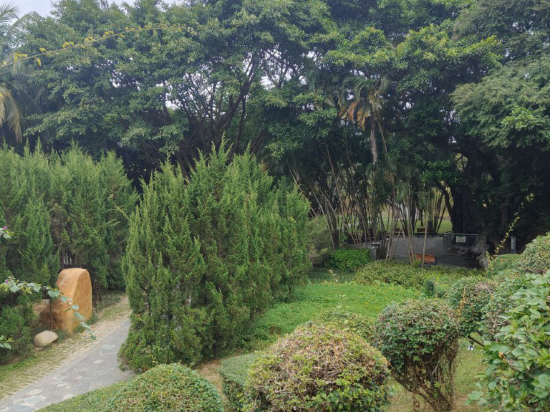 深圳南山希爾頓逸林酒店及公寓優惠