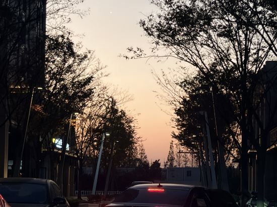 上海寶華喜來登酒店優惠