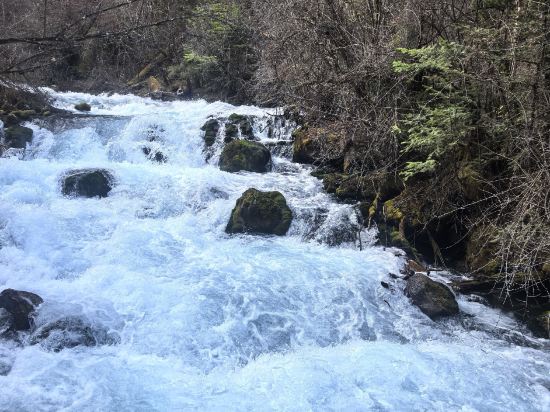 成都太古裏春熙美居酒店優惠
