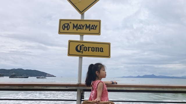 review picture