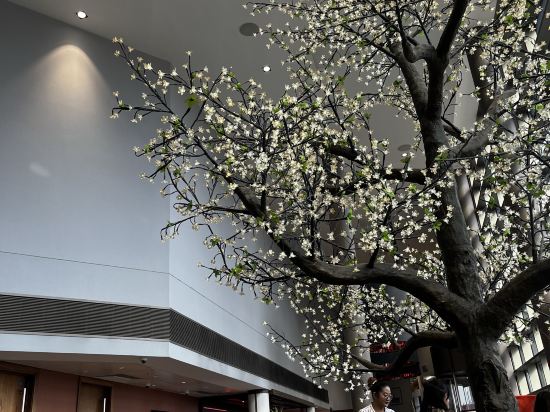 伯明翰克萊頓酒店優惠