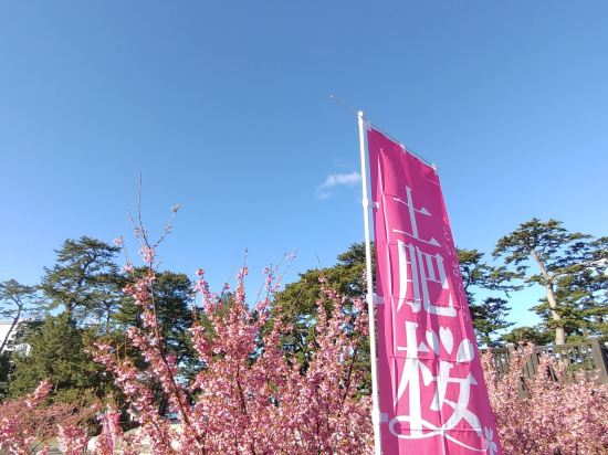 土肥ふじやホテル クーポン