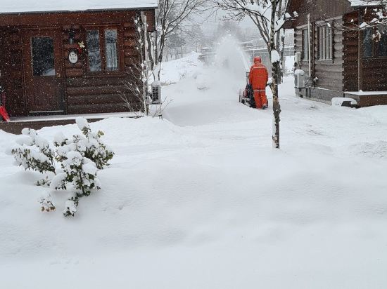 カナディアンビレッジ　モントリオール クーポン