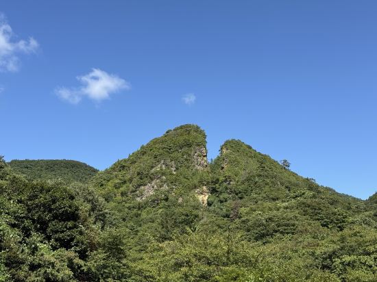 お宿ふくすけ クーポン