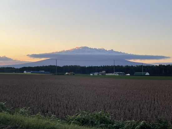 ルートイングランティア知床-斜里駅前- クーポン