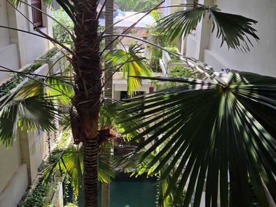 烏布鄉村飯店優惠