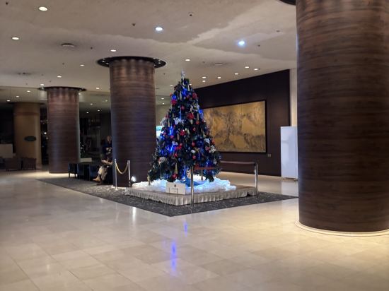 ホテルマイステイズプレミア成田 クーポン