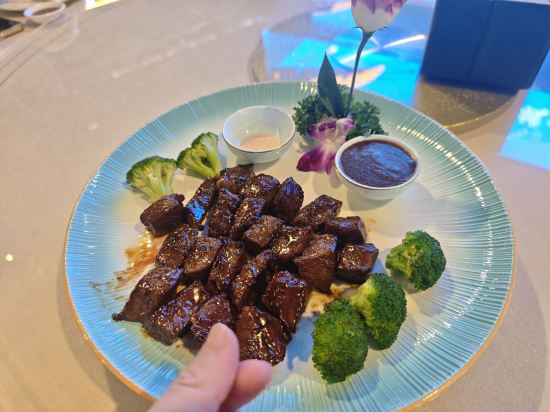 橋牌俱樂部優惠