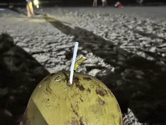 惠東巽寮灣迎帆海景度假酒店優惠