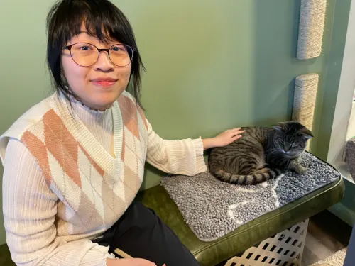 The Cove Lakeside Resort Photos