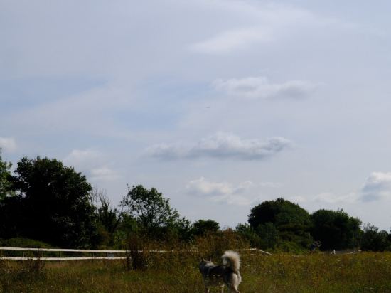 阿斯帕裏安酒店優惠