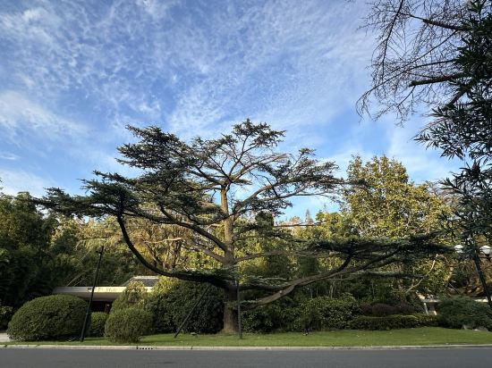 上海西郊賓館優惠