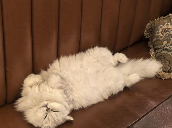 神祕圖鑒·SecretLand飯店（中山路步行街輪渡碼頭店）優惠