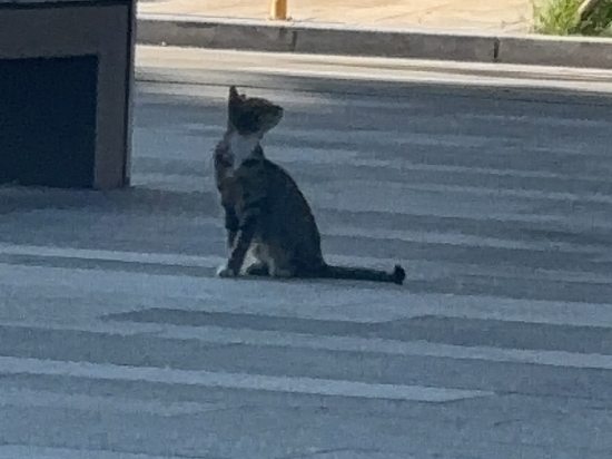 凡爾賽公寓（珠海拱北口岸店）優惠