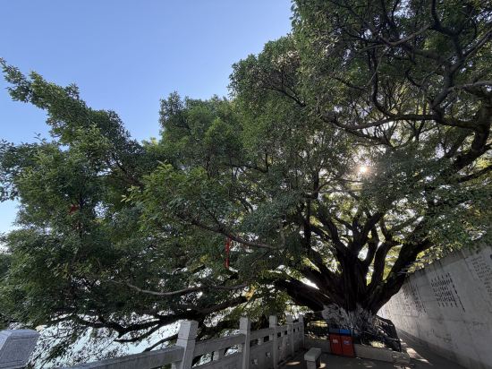 吉安希爾頓歡朋酒店優惠