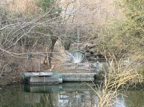 南京紫清湖温泉度假酒店優惠