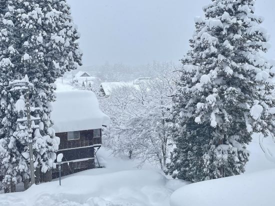 サンメンバーズひるがの クーポン